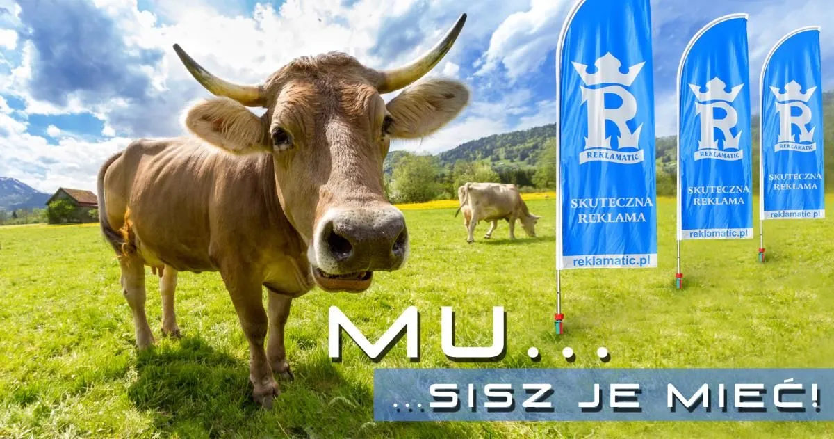 Przedsiębiorstwo 13 wizerunek AGENCJA REKLAMOWA REKLAMATIC
