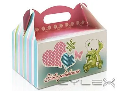 Przedsiębiorstwo 10 wizerunek STEINER STRADA