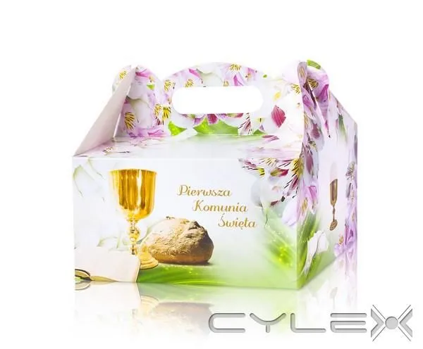 Przedsiębiorstwo 14 wizerunek STEINER STRADA