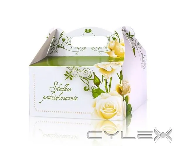 Przedsiębiorstwo 16 wizerunek STEINER STRADA