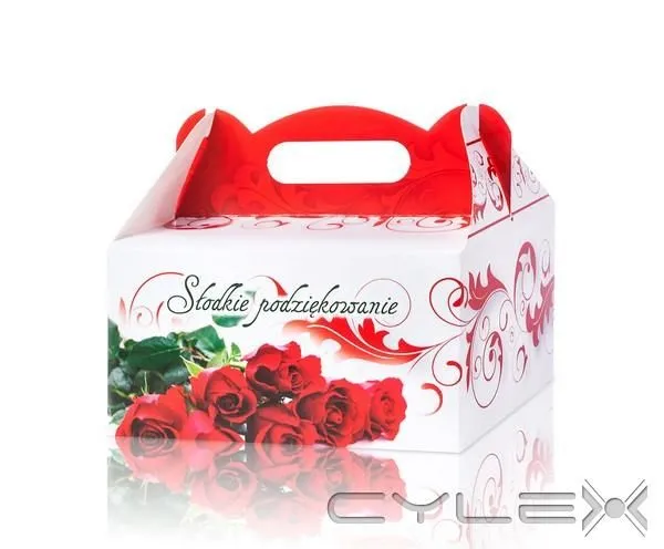 Przedsiębiorstwo 17 wizerunek STEINER STRADA