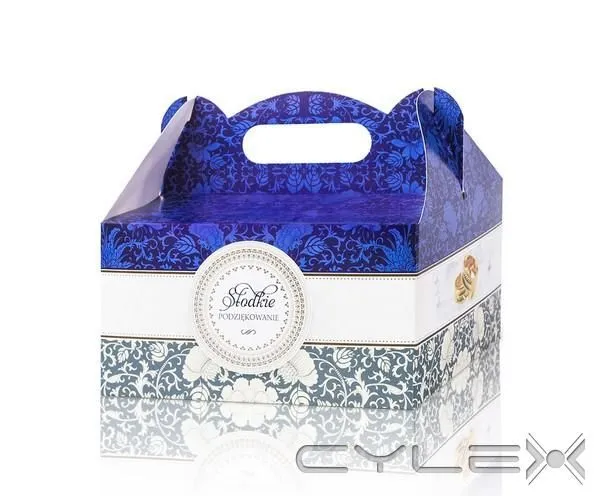 Przedsiębiorstwo 20 wizerunek STEINER STRADA