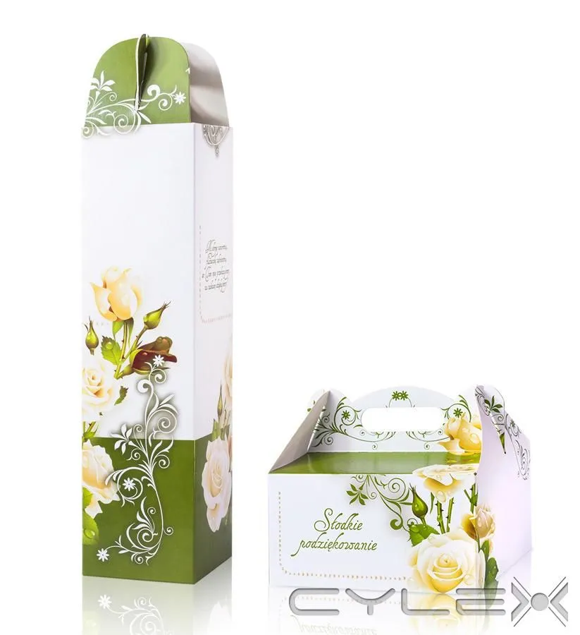 Przedsiębiorstwo 3 wizerunek STEINER STRADA