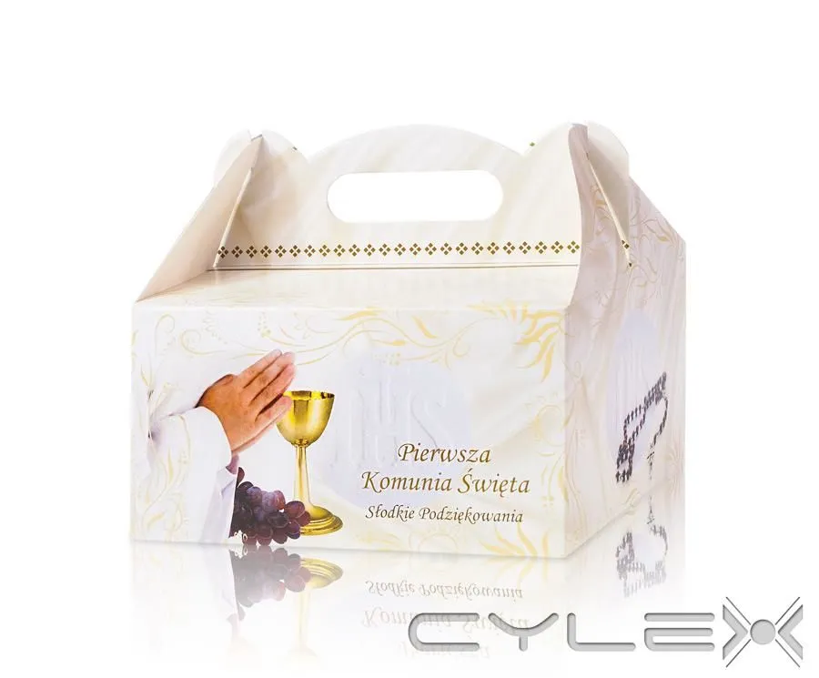 Przedsiębiorstwo 13 wizerunek STEINER STRADA