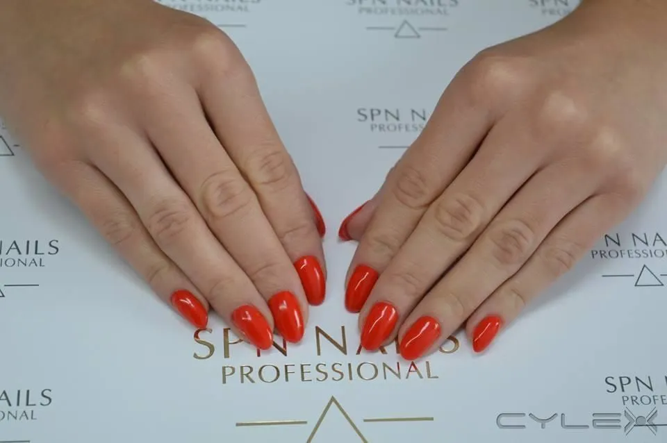 Przedsiębiorstwo 5 wizerunek PRACOWNIA PIĘKNA