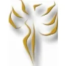 OLIMP TROFEA SPORTOWE Sportowe Artykuły, Sprzęt - Produkcja, Hurt w Lublin LU