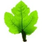 GABINET PSYCHOTERAPII INNE SPOJRZENIE | PSYCHOTERAPIA GRZEGÓRZKI KRAKÓW