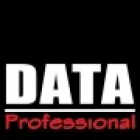 DATA PROFESSIONAL S.C.