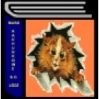 BIURO RACHUNKOWE S.C. BEATA KOWALEWICZ I MAGDALENA SICIŃSKA