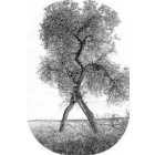 PRACOWNIA PSYCHOEDUKACJI I PSYCHOTERAPII TU I TERAZ