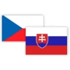 HRYĆ M. TŁUMACZ PRZYSIĘGŁY JĘZYKA SŁOWACKIEGO